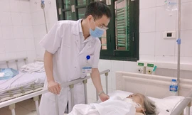 Chó Bully nặng 30kg tấn công cụ bà 87 tuổi