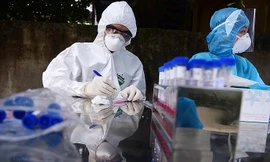 Sang ngày thứ 31 Việt Nam không có ca lây nhiễm COVID-19 trong cộng đồng