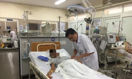 Suy thận, suy đa tạng vì bị ong đốt