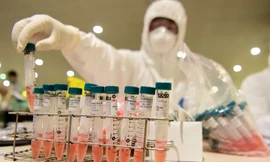 Ảnh: Mạnh Thắng