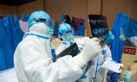 Bộ Y tế khẩn cấp tìm người đến chợ hoa Mê Linh từ ngày 20/3 đến nay