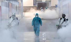 Ảnh minh hoạ: Internet