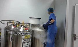 Cơ hội chữa 80 bệnh cho con nhờ lưu giữ tế bào gốc máu cuống rốn