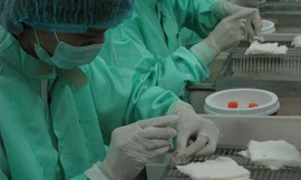 Chuyên gia nói về chủng virus mới khiến COVID-19 lây lan nhanh