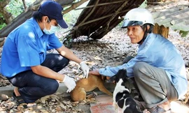 Một tuần, bệnh dại 'đoạt mạng' 2 trẻ