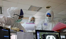 Bệnh nhân Covid -19 thứ 32 thuê chuyên cơ riêng về Việt Nam