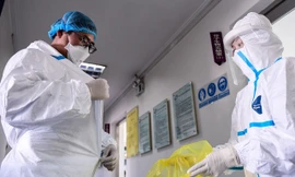 Cùng lúc thêm 4 bệnh nhân, Việt Nam ghi nhận 53 ca Covid -19