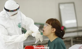 Lấy mẫu xét nghiệm tại Hà Nội. Ảnh: Như Ý