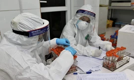 Khi nào cô trò trường tiểu học Xuân Phương hết cách ly, về nhà ăn Tết?