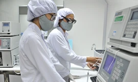 Ảnh minh hoạ: Internet