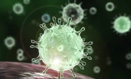 Ảnh minh hoạ: Internet