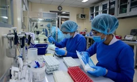 Việt Nam ở đâu trên bản đồ COVID-19 của thế giới?