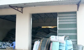 Nhà kho chứa lá vải tại cơ sở thu mua của ông Nguyễn Đăng Đạo, thôn Áp, xã Tân Quang, huyện Lục Ngạn, Bắc Giang