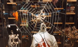 Gợi ý đi chơi Halloween “nghe là hết hồn“: Tham gia đại tiệc “rùng rợn” trong... nhà sách