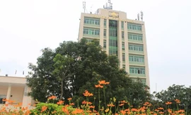 Xử lý bằng thạc sĩ do ĐH Kinh tế (ĐH Quốc gia) cấp