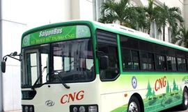 TPHCM mở tuyến xe buýt 'xanh'