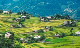 Ngất ngây cảnh sắc 'thiên đường' ruộng bậc thang ở Hoàng Su Phì