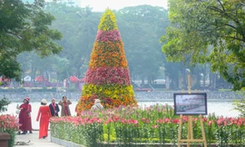 Cận cảnh cây thông Noel 'độc nhất' làm từ 2.000 cành hoa ly ở Hà Nội