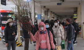 Vác cành đào, mang túi quà rời Thủ đô về quê ăn Tết