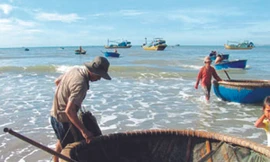 Thuyền thúng đi giũ tôm. Ảnh: M.C