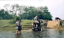 Sinh mệnh ngòi bút