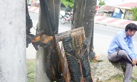 Cháy cáp viễn thông, cáp truyền hình