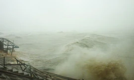 Bão số 10 tàn phá miền Trung