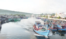 Tàu của ngư dân đang khổ sở vì giá dầu trong nước quá cao