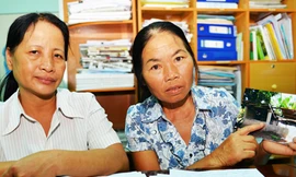 Heo nái xổng chuồng, kiện tới tối cao