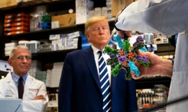 Nhiều hãng dược đang nỗ lực phát triển vắc-xin ngừa Covid-19. (Ảnh: Reuters)