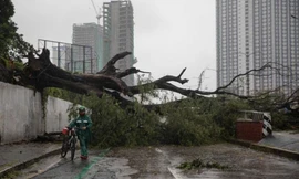 Bão Vamco càn quét đảo Luzon của Philippines. (Ảnh: Reuters)