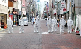 Nhân viên y tế khử trùng ở TP Daegu. (Ảnh: Yonhap)