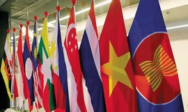 Việt Nam tham vấn ASEAN việc hoãn hội nghị cấp cao vì COVID-19