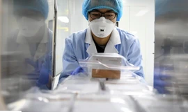 Giới nghiên cứu đang nỗ lực tìm cách tiêu diệt virus corona. (ảnh: SCMP)