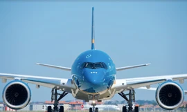 Đã đưa 350 người Việt ở Mỹ về nước