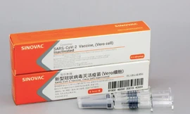 Hình ảnh một loại vắc-xin COVID-19 của Sinovac. (Ảnh: Reuters)