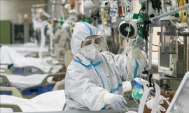 Liên hợp quốc thông qua 'Ngày Quốc tế sẵn sàng chống dịch bệnh' do Việt Nam đề xuất