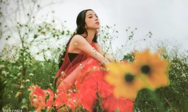 Thành tích của Jisoo BLACKPINK sau 24h album "ME" ra mắt có đạt mục tiêu fan đề ra?