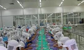 Doanh nghiệp 'quay quắt' vì thiếu nguyên liệu hải sản
