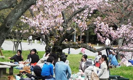 Chuyện học và phượt của du học sinh