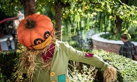 Không khí lễ hội Halloween toàn cầu: Hình nộm bí ngô cũng phải đeo khẩu trang!