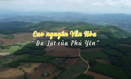 Khám phá Cao nguyên Vân Hòa - ‘Đà Lạt của Phú Yên’