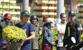 Đổ xô giành giật hoa xuân ở Đà Nẵng