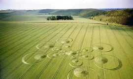 Vòng tròn bí ẩn - Thông điệp ngoài hành tinh?