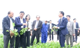 Thủ tướng Nguyễn Xuân Phúc cùng đoàn công tác tại Ninh Bình. Ảnh: N.T