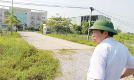 Nhà máy Ehtanol Phú Thọ khởi công rồi "đắp chiếu" nhiều năm. Ảnh: Minh Đức