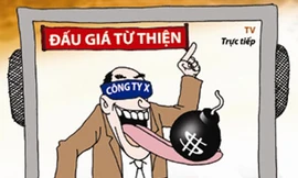 Đấu giá tài sản từ thiện: Thiếu chuyên nghiệp