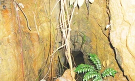 Có kho báu của vua Hàm Nghi không?