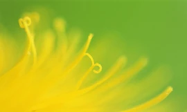 Tuần của bạn (22/8 - 28/8)