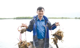 Vua tôm khu đầm trống